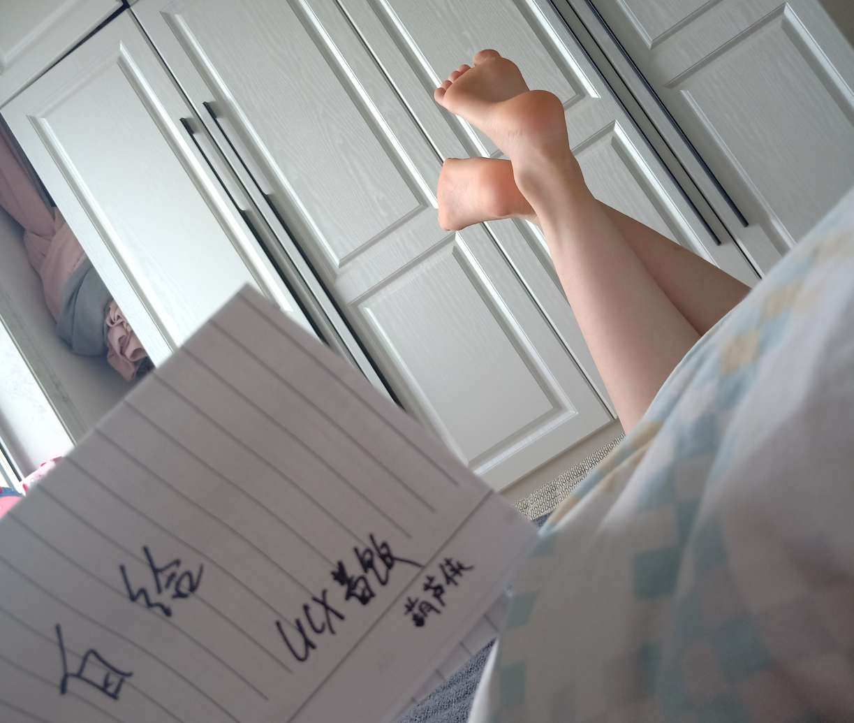 FinalShell 临时离线激活